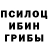 Галлюциногенные грибы Cubensis Juan 666