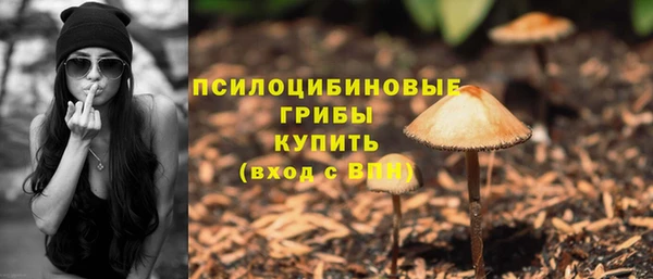скорость Алексин