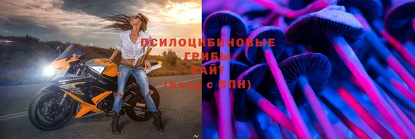 винт Абаза