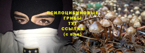 скорость Алексин