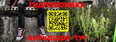 шишки Ирбит