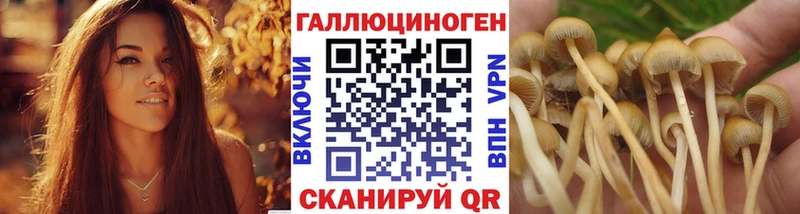 Псилоцибиновые грибы прущие грибы Серов