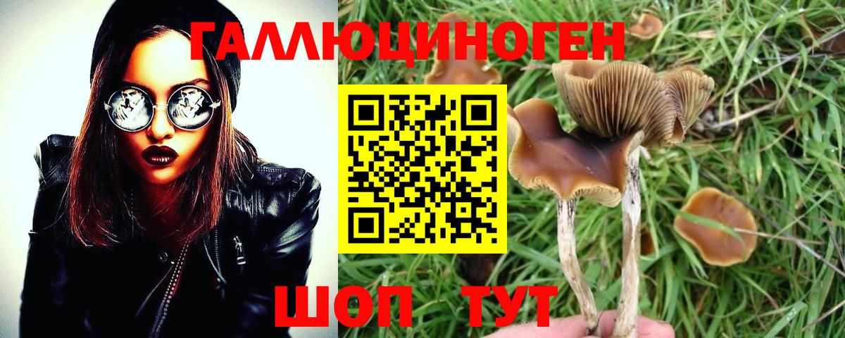 где можно купить наркотик  Псилоцибиновые грибы Cubensis  Вход с VPN  Псилоцибиновые грибы мицелий  Серов 